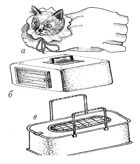 Типы контейнеров для транспортировки кошек: а – чехол, б – контейнер-чемодан,